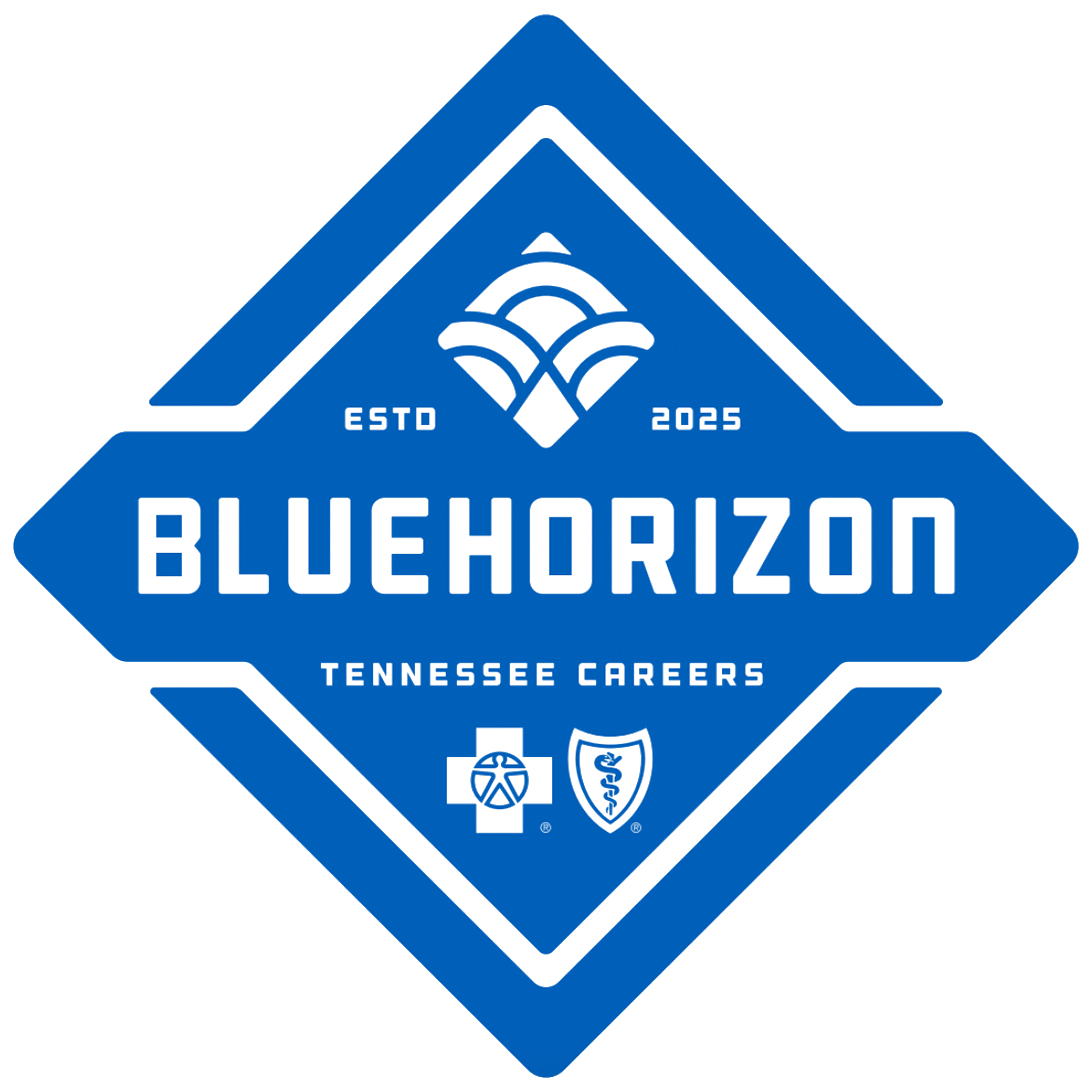 blue BlueHorizon logo