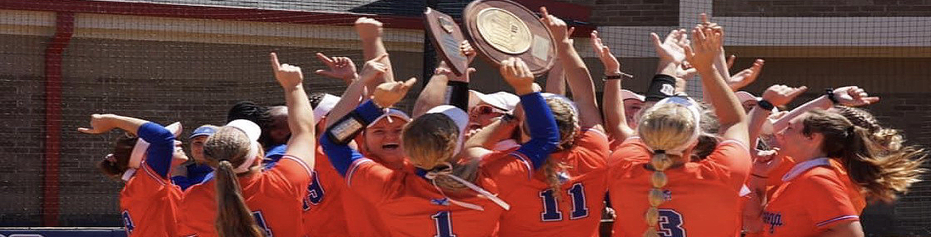 softball banner image