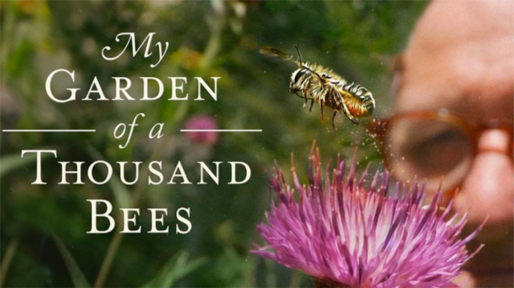 "My Garden of a Thousand Bees" movie poster