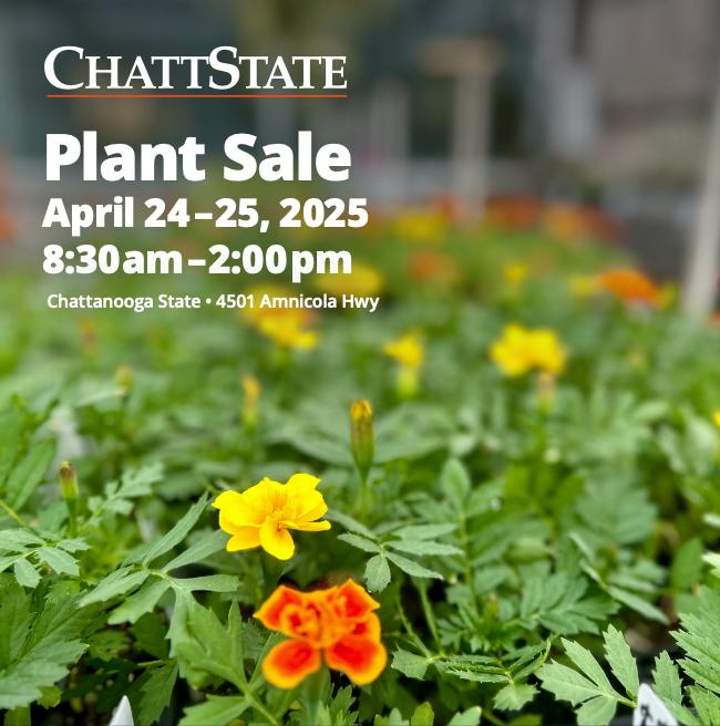 TCAT plant sale