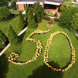 Aerial 50 photo