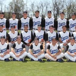 2016 tigers baseball team