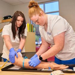 Two female nursing students in white scrubs practicing inserting an IV needle into a plastic prosthetic arm. Two female nursing students in white scrubs practicing inserting an IV needle into a plastic prosthetic arm.