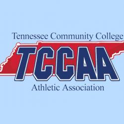 tccaa logo