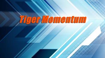 words tiger momentum on blue arrowed background